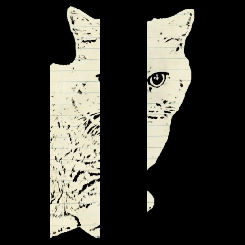 britisch Kurzhaar Katze Katze schwarz Katzen