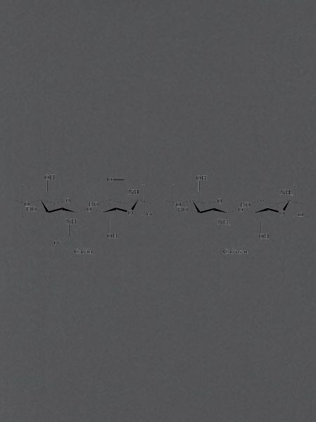 Chitin-Chitosan