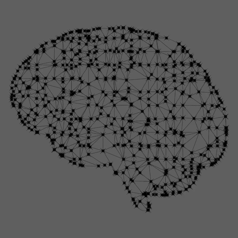 Brain