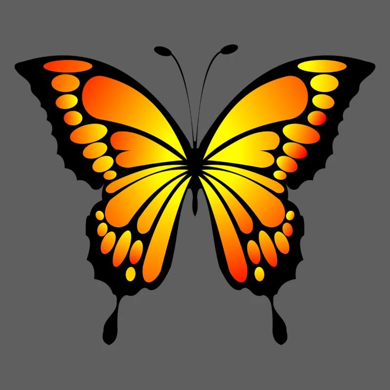 papillon