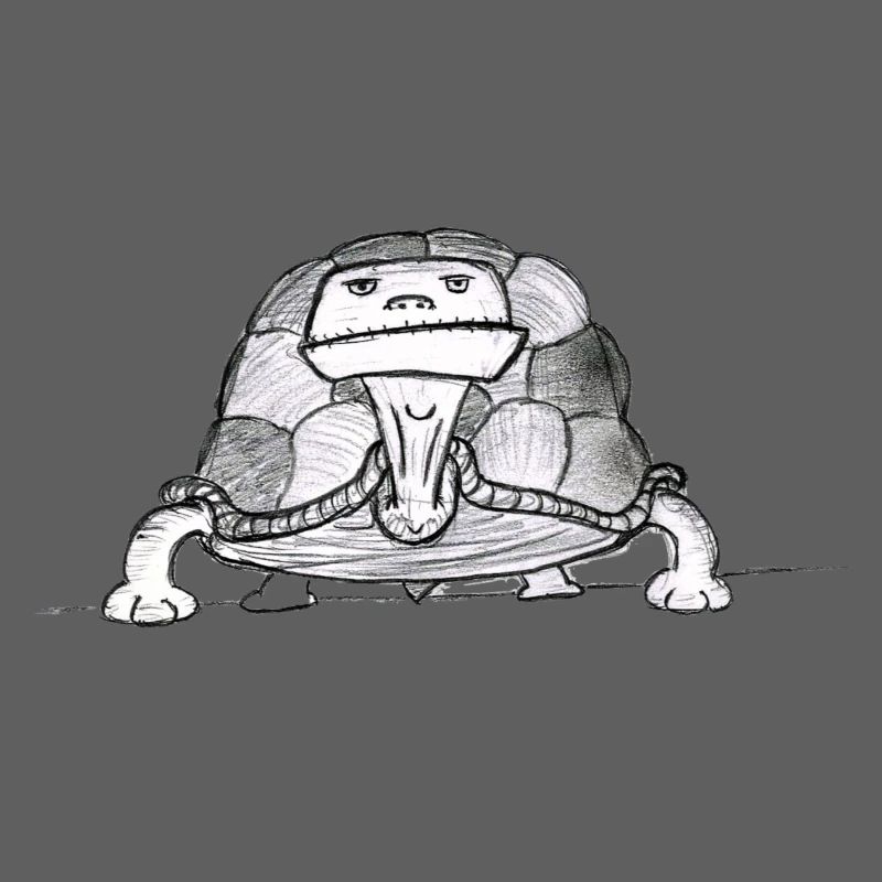 Turtle # North German art