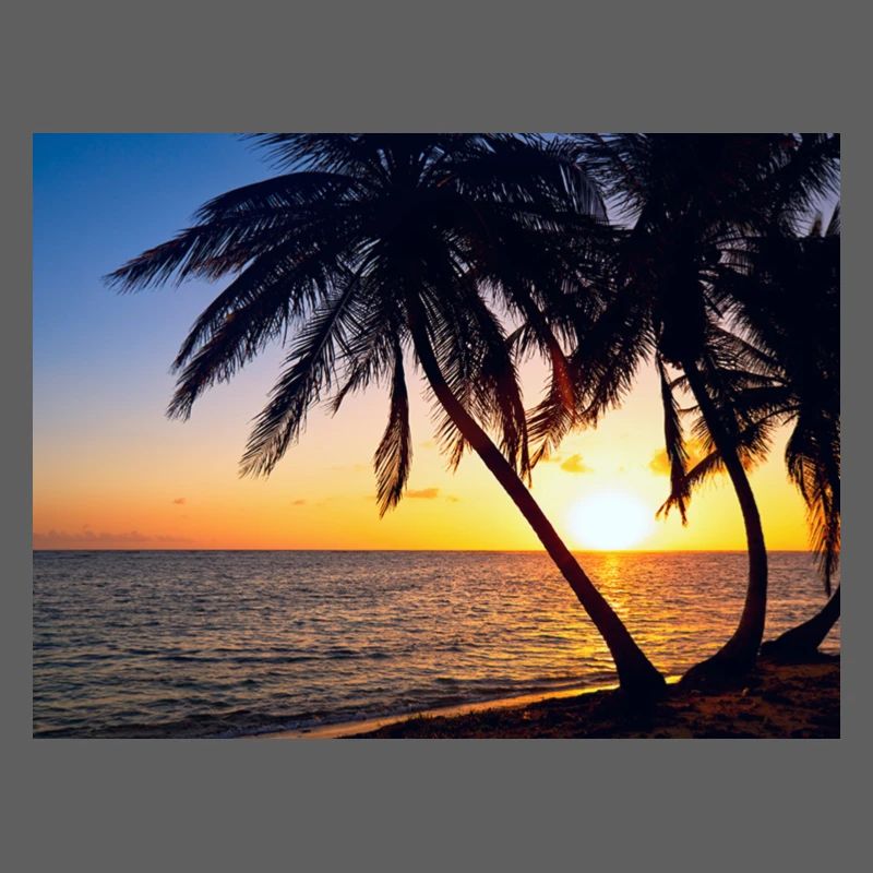 Coucher de soleil
