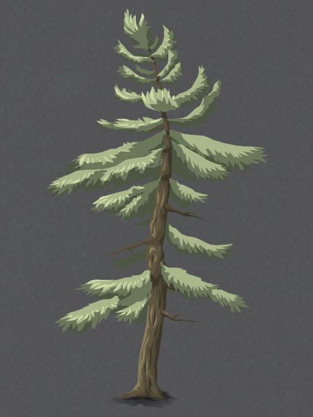 Nadelbaum