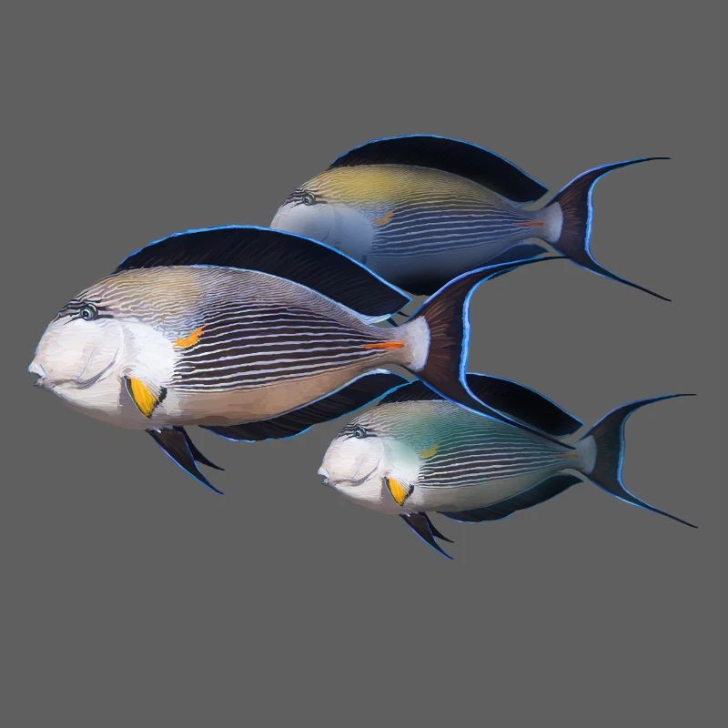 Fisch