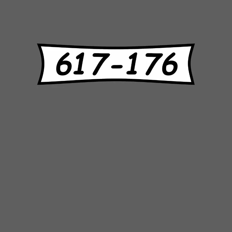 Panzerknacker number 617 176