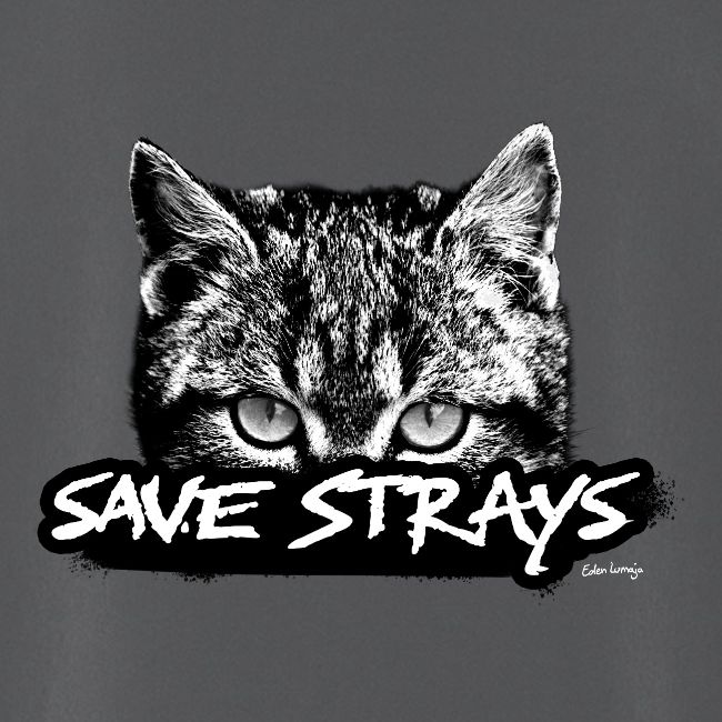 save strays