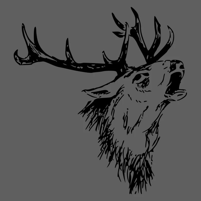 Cerf