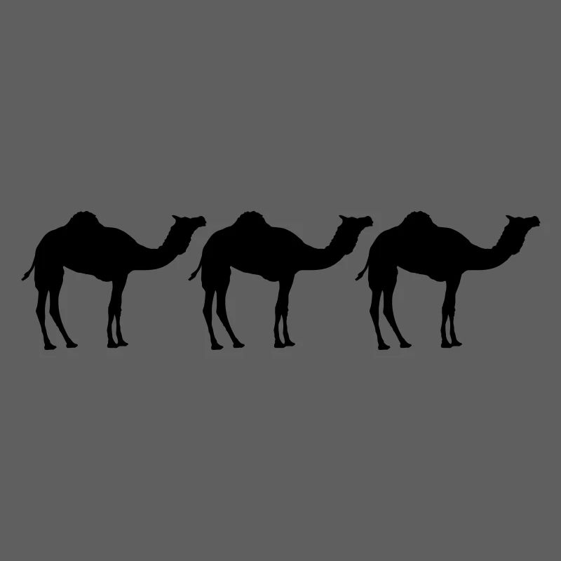 Camels Caravan Desert Three Black Cool Silhouette