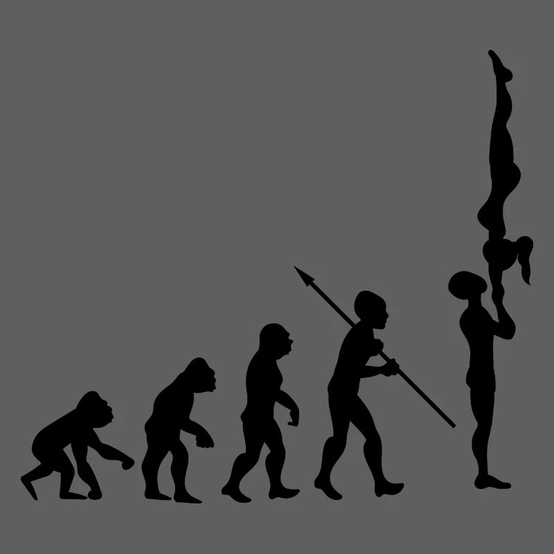 Evolution Gymnastics Gymnastics Acrobatics Gymnastics