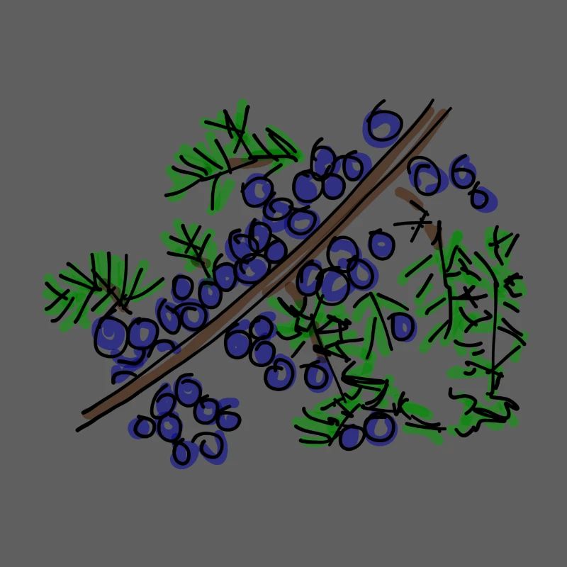 juniper