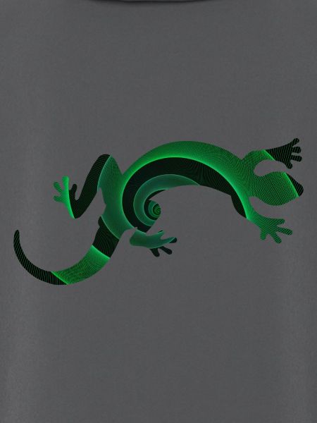 Gecko
