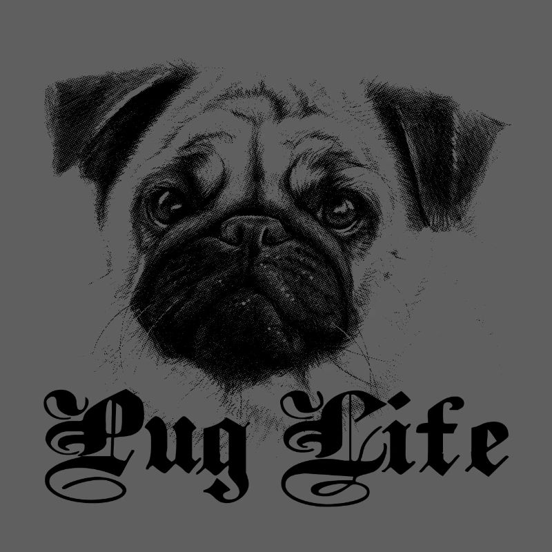 Mopsleben Schlepperleben Mopskopf