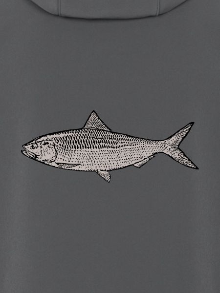 Fisch