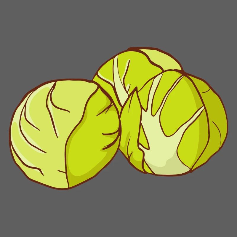 Brussels sprouts Brussels cabbage sprouts cabbage sprouts