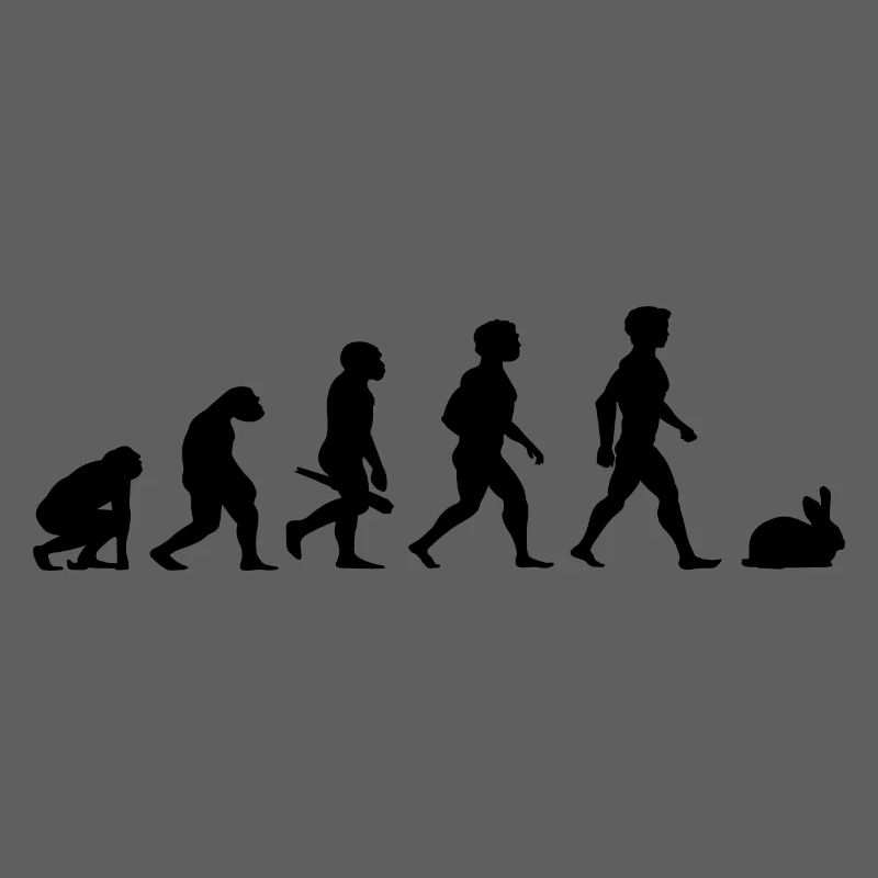 Evolution lapins lapin lapin rongeurs