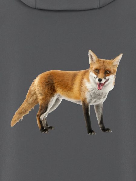 Fuchs