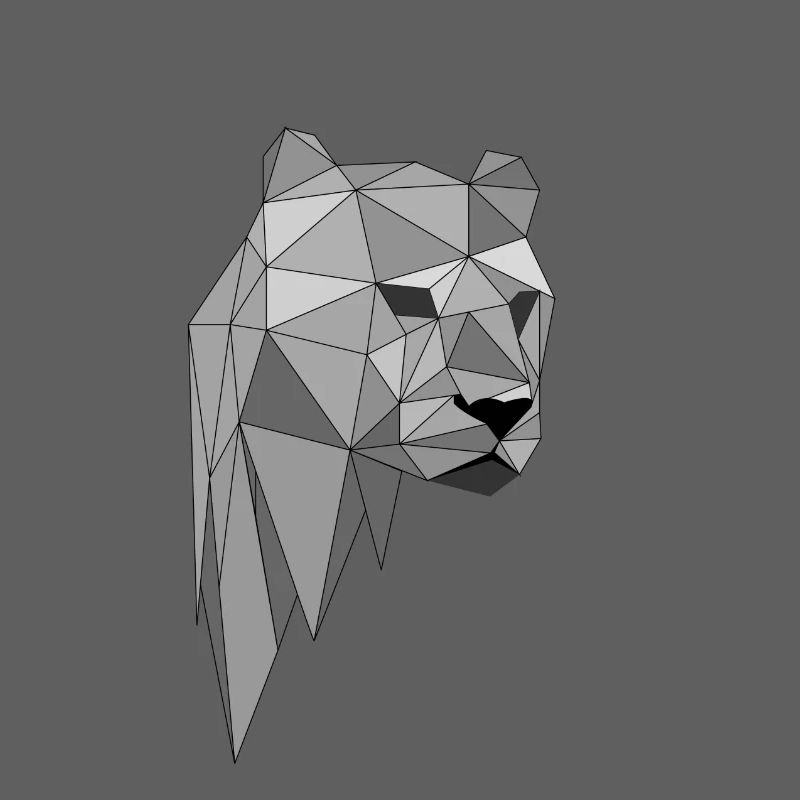 idée cadeau Leopard Panther