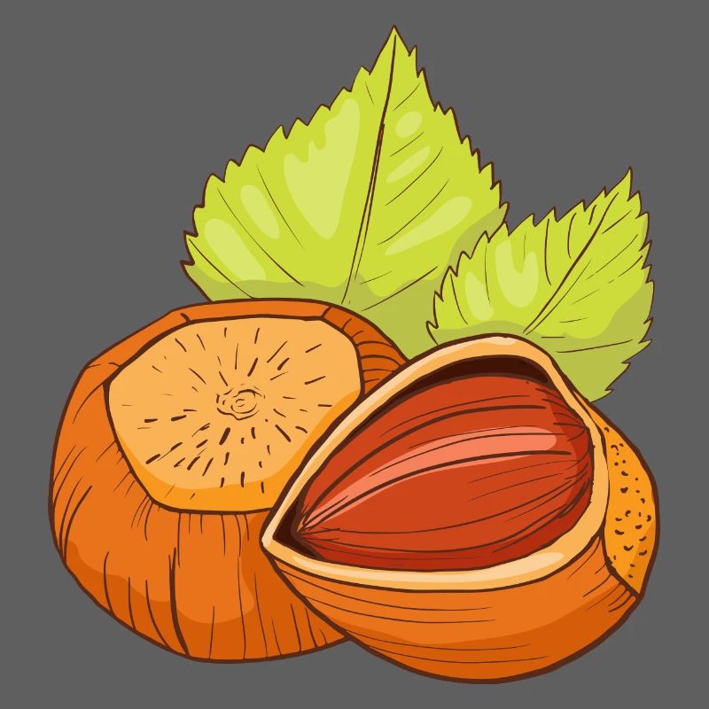 Hazelnut common hazelnut shrub