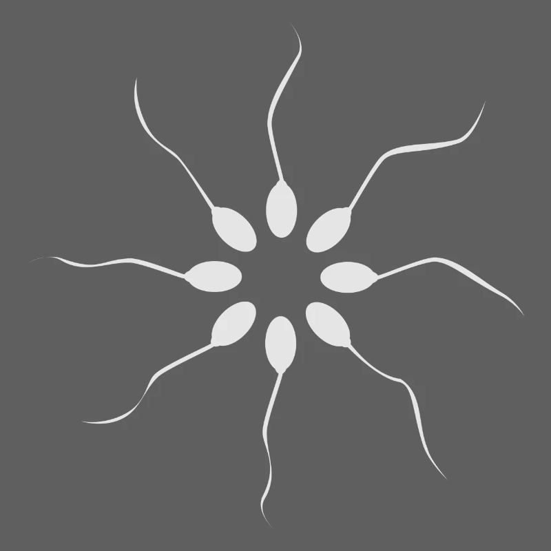 sperm