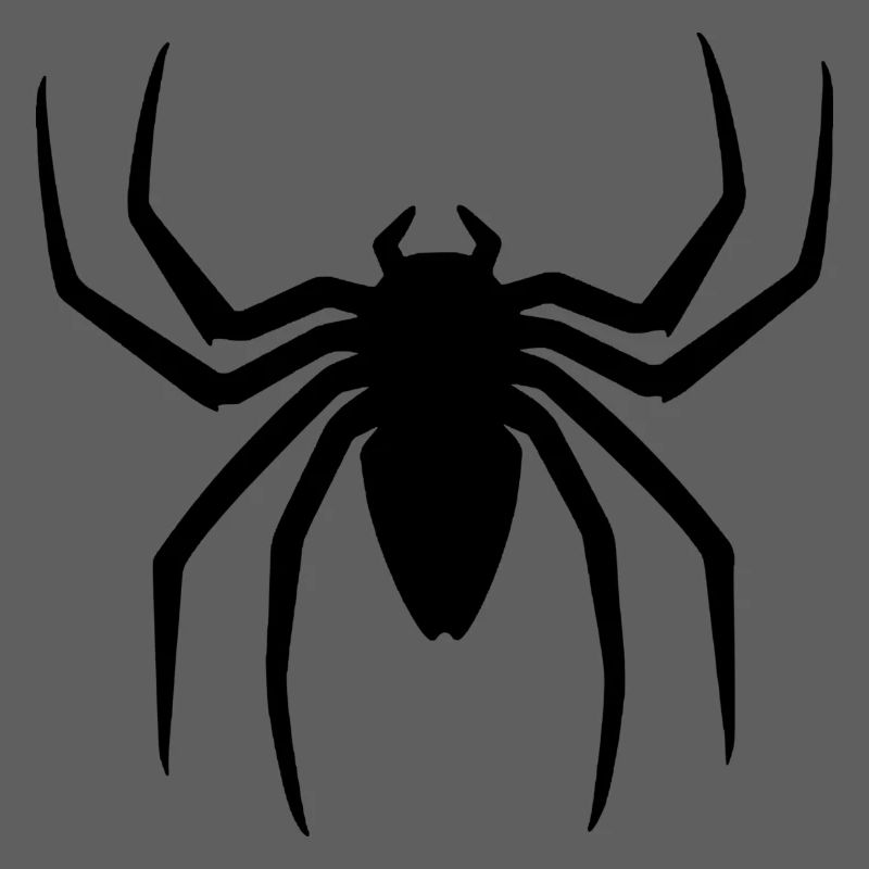 Black spider halloween gift idea