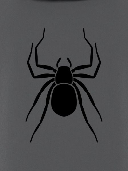 Spinne