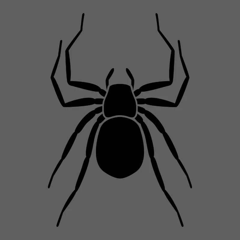 Spinne