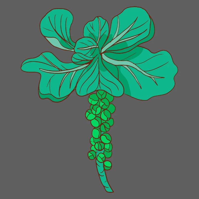 Brussels sprouts Brussels cabbage sprouts cabbage sprouts