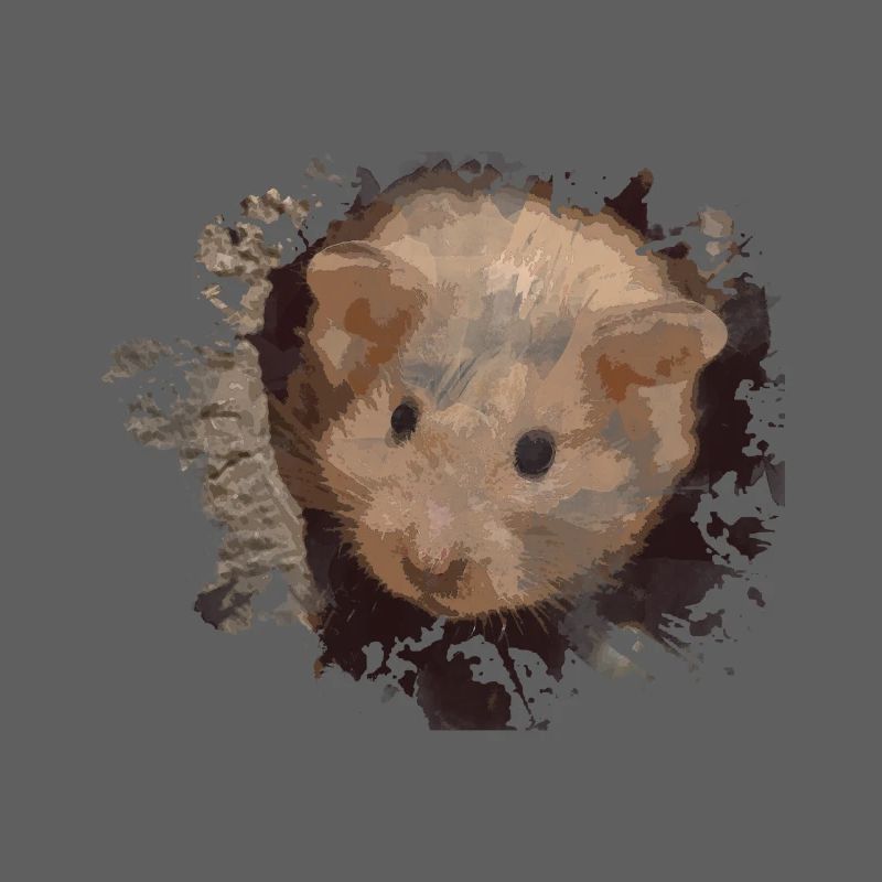 hamster