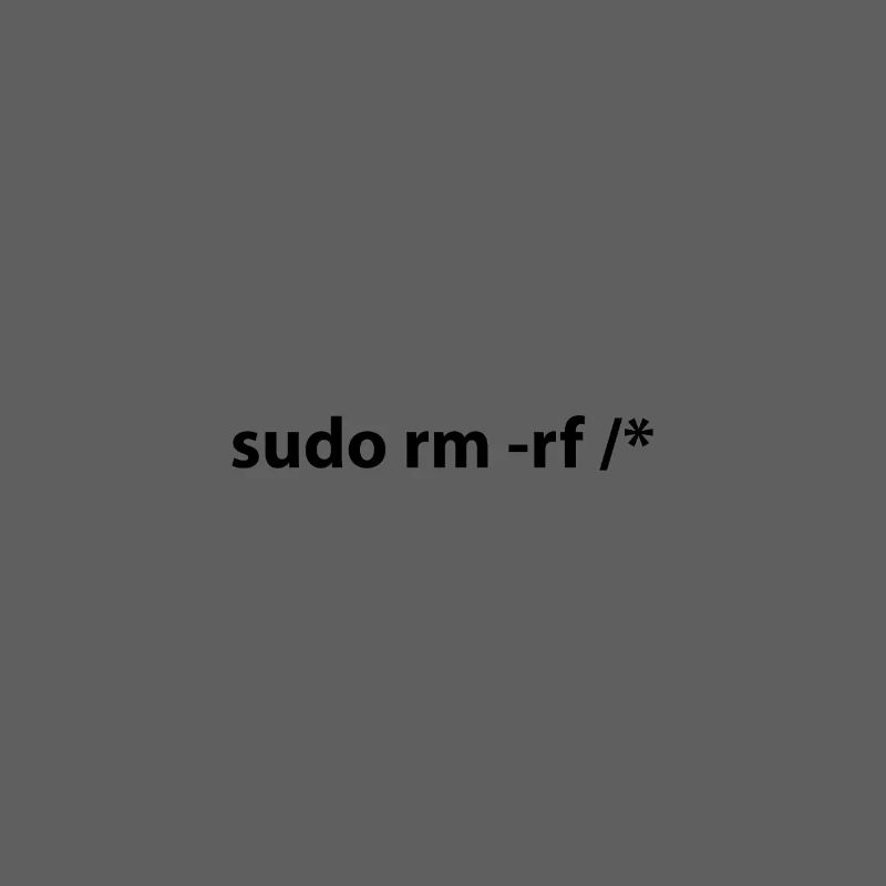 sudo rm -rf / *