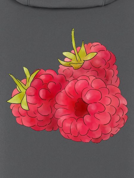 Himbeeren