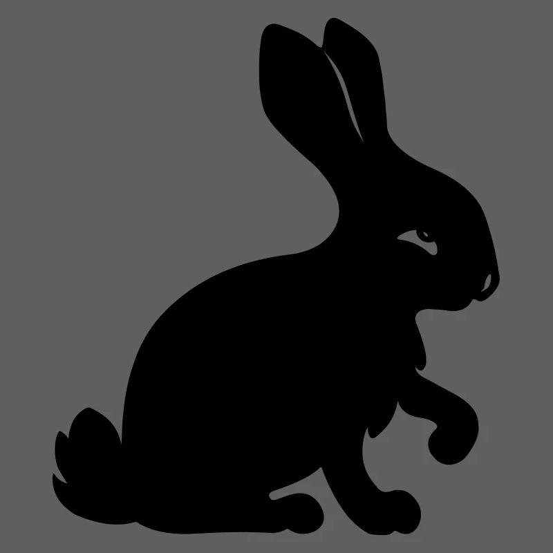 Image d’ombre de lapin année du lapin