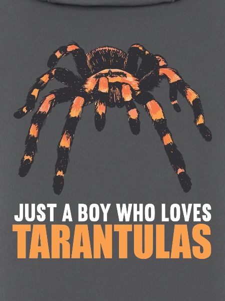 Taranteln Tarantel