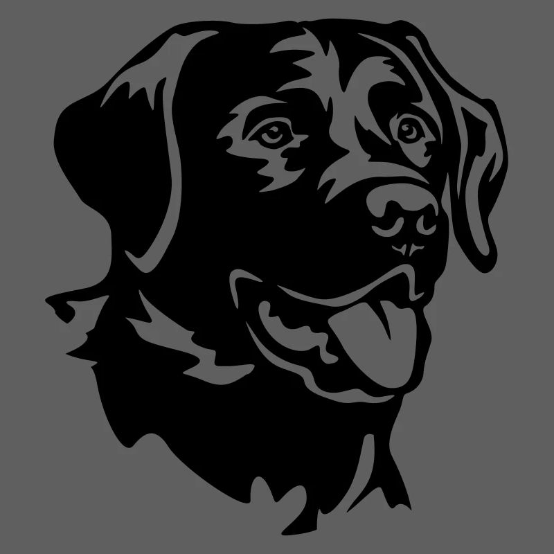 Labrador Head