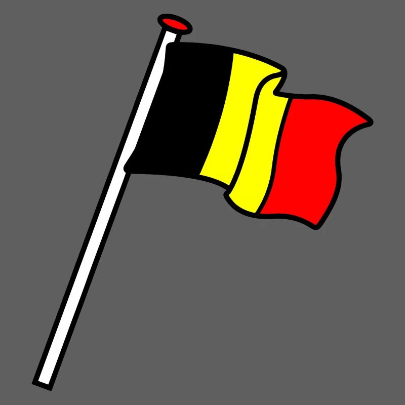 Drapeau Belgique Drapeaux BE