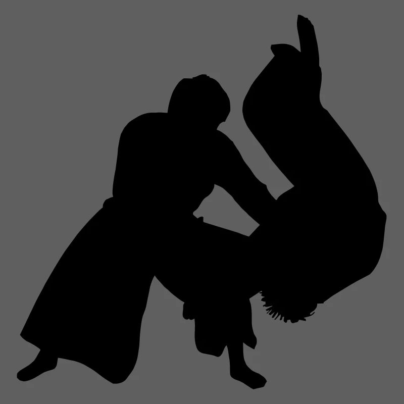 Aikido throw