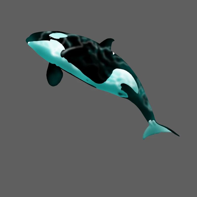 Orca