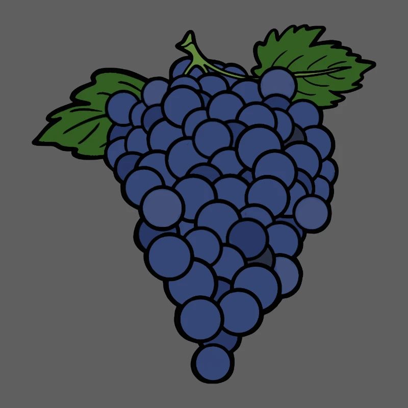 Delicious Fruit Grape