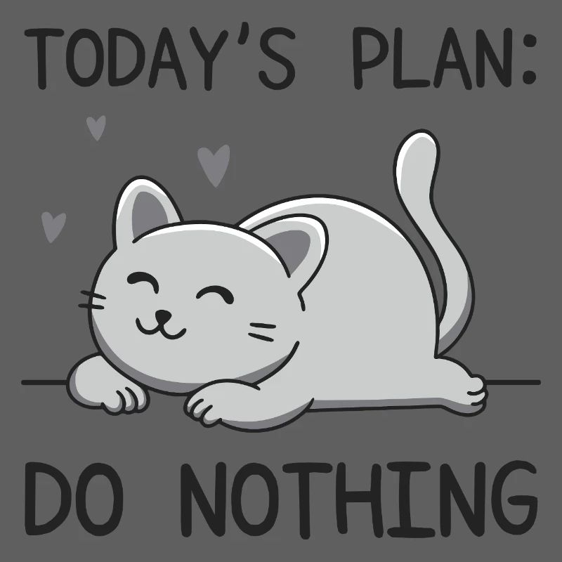 Le plan du jour