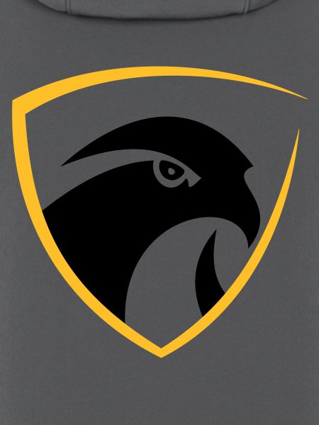 Falcon Logo