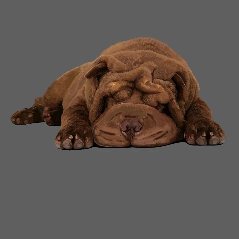 Shar-Pei