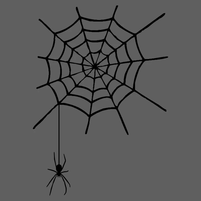 Cobweb with spider