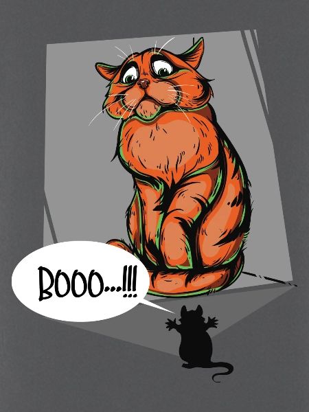 Booo