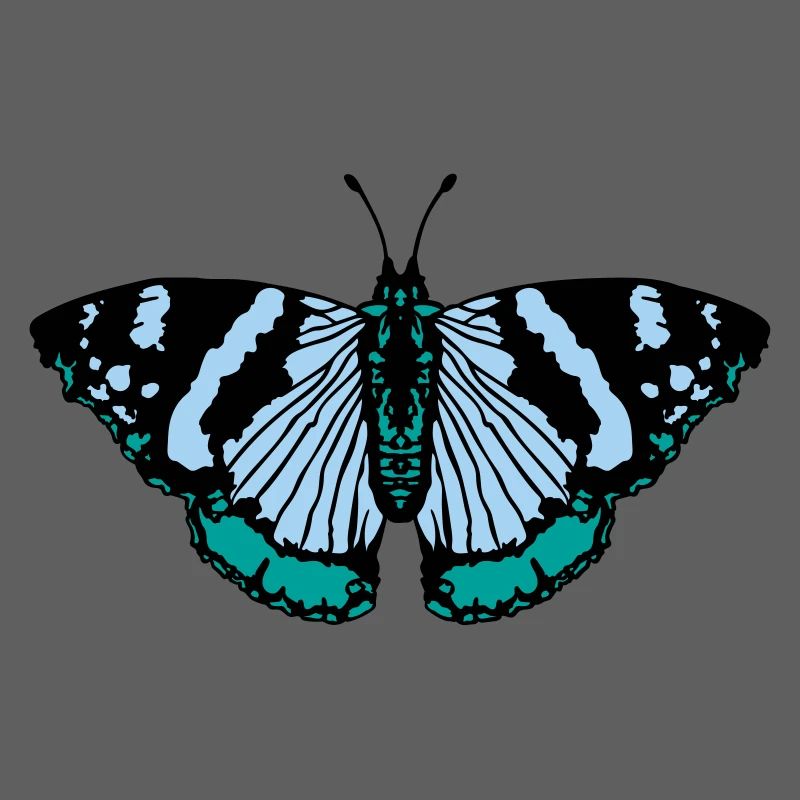 Schmetterling butterfly