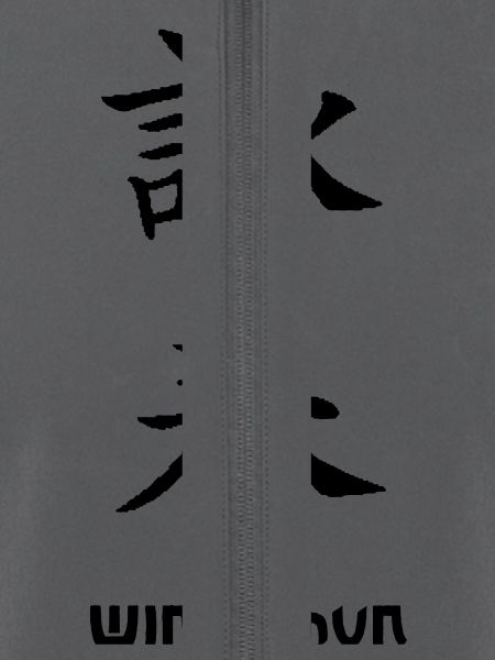 wing_chun1