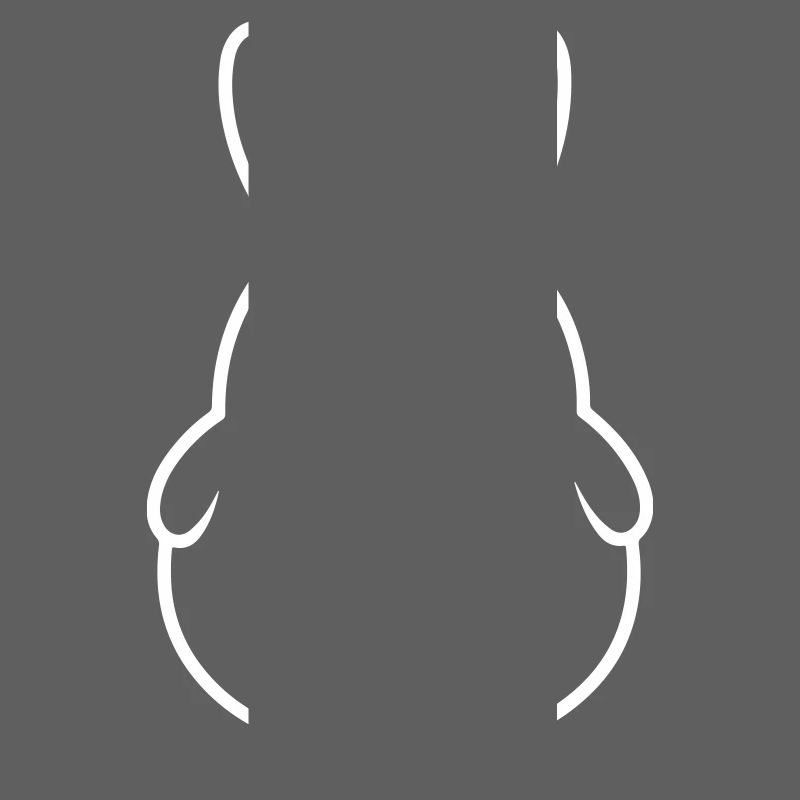 Funny bunny