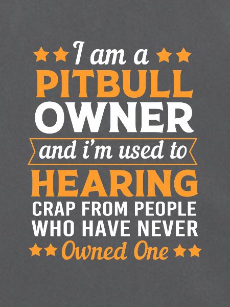 Pitbull