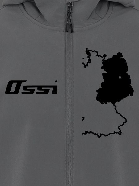 Ossi