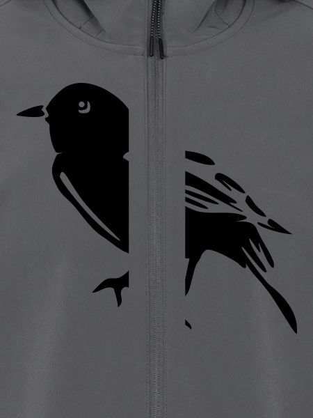 Spatz