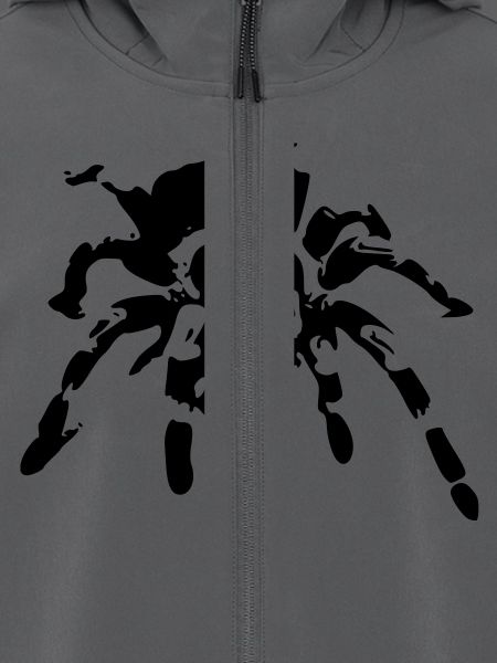 spinne