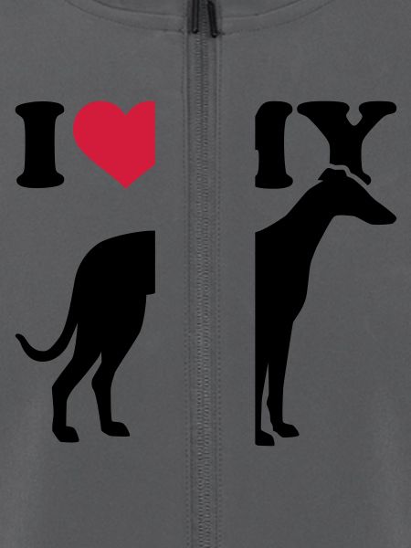 Whippet